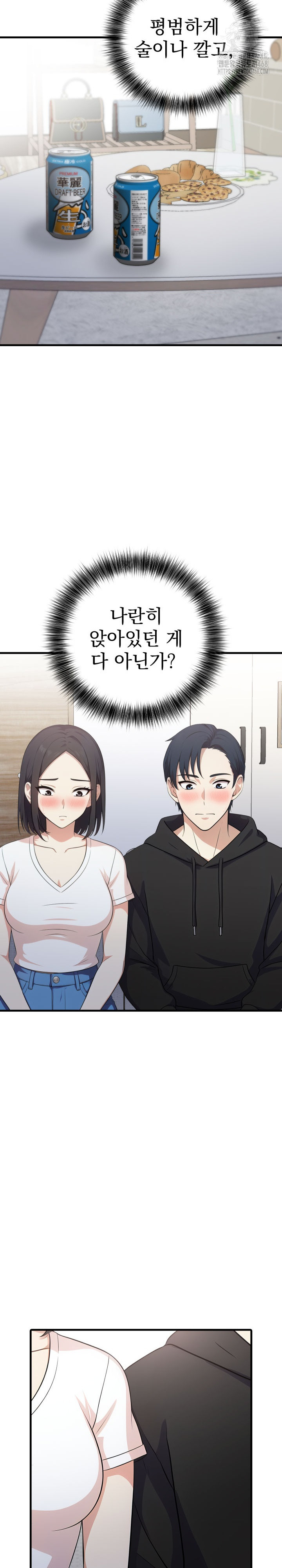 My Secret With My Auntie Raw - Chapter 9 Page 24